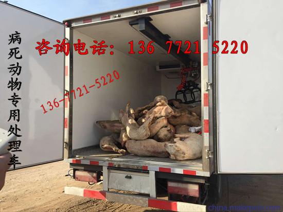大連市無害化病死動物處理車 專業(yè)畜禽運輸車廠家報價與服務指南